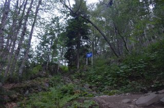 Тропа у пикета, развилка.