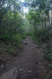 Широкая тропа вниз.