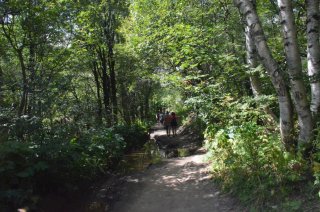 Лужа на дороге.