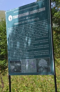 Стенд о травах Тебердинского заповедника.