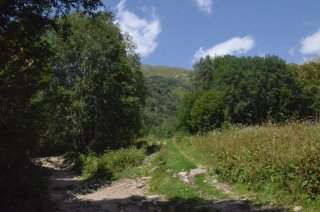 Развилка.