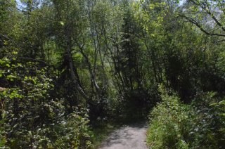 Поворот тропы.