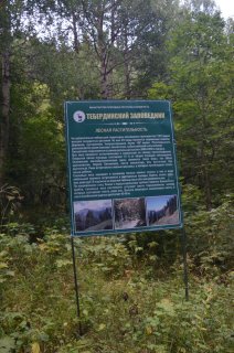 Стенд о лесной растительности Тебердинского заповедника.