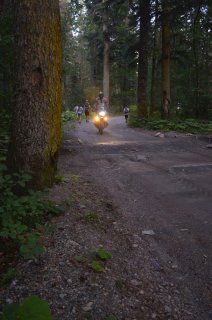 Мотоциклист на лесной дороге.