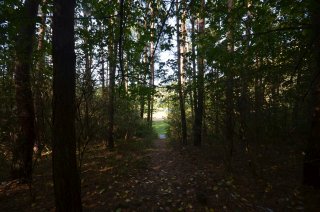 Тропинка к пляжу.