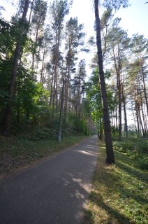 Терренкур напротив пляжа.
