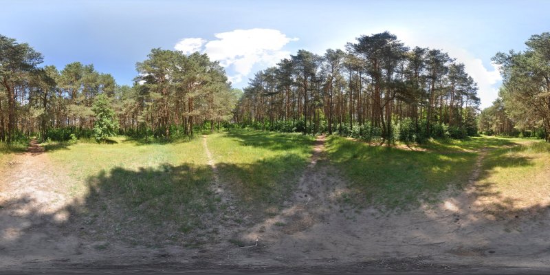 Сферическая панорама поляны.