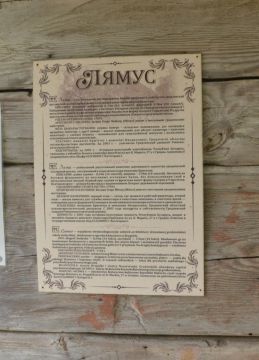 Лямус. Обновлённая историческая справка.