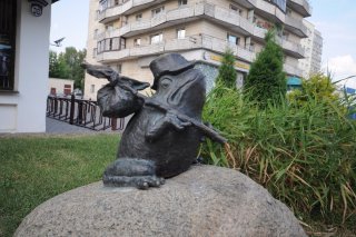 Лягушка-путешественница.