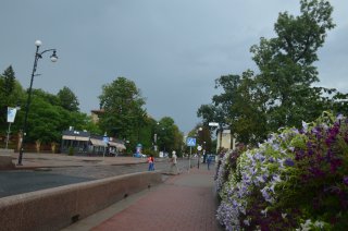 Цветы на мосту через реку Городничанку.